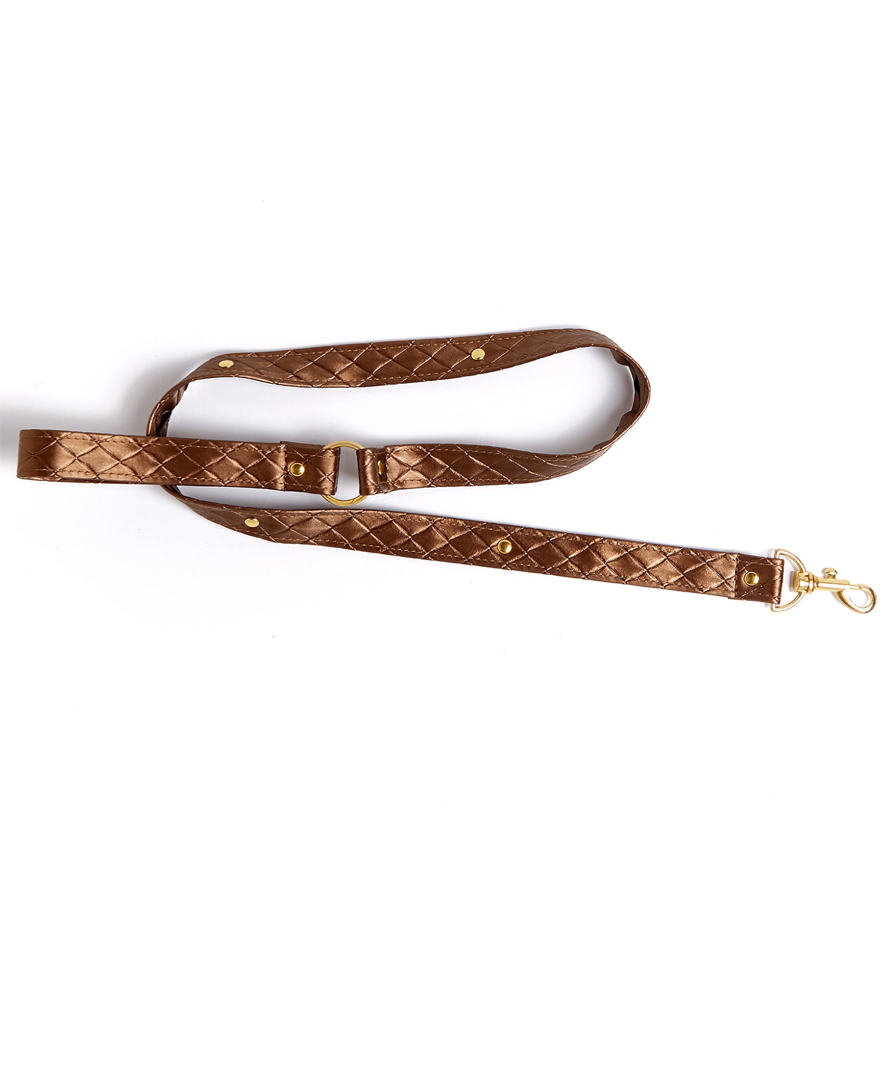 2094 Darling Pet Collar with Leash, Leash pic