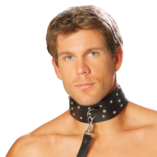 Leather collar w studs and O ring