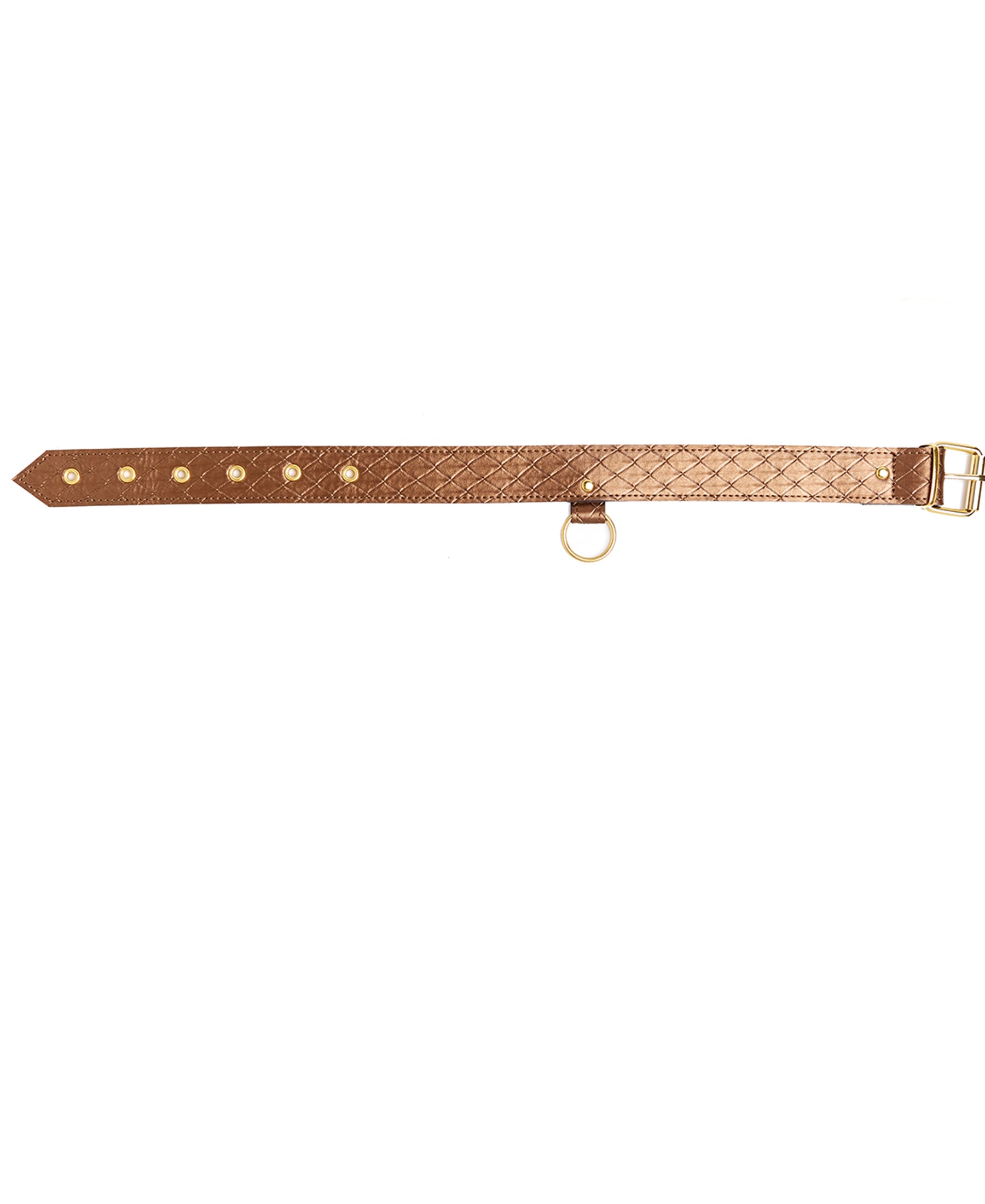 2094 Darling Pet Collar with Leash collar open